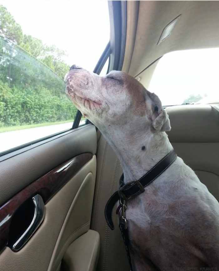 Foto: The Huffington Post