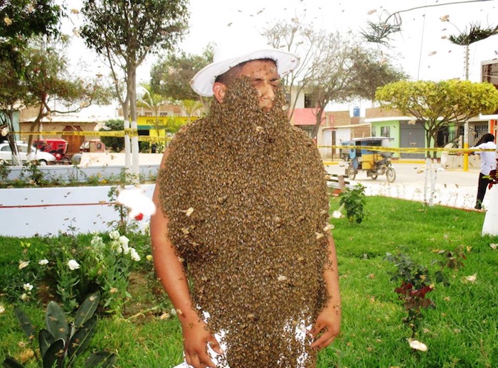 abejas José Eleazar Sánchez Juárez es el nombre del joven que este año se convirtió en el ganador de la sexta edición del Festival Apícola del distrito de Íllimo. Foto: Municipalidad Distrital de Illimo