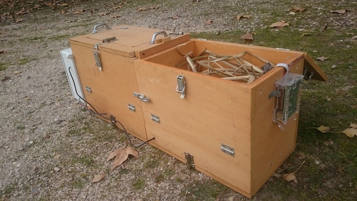 Foto: Especial/TicBeat