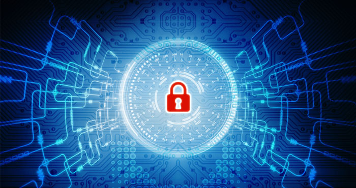 Imagen: Shutterstock