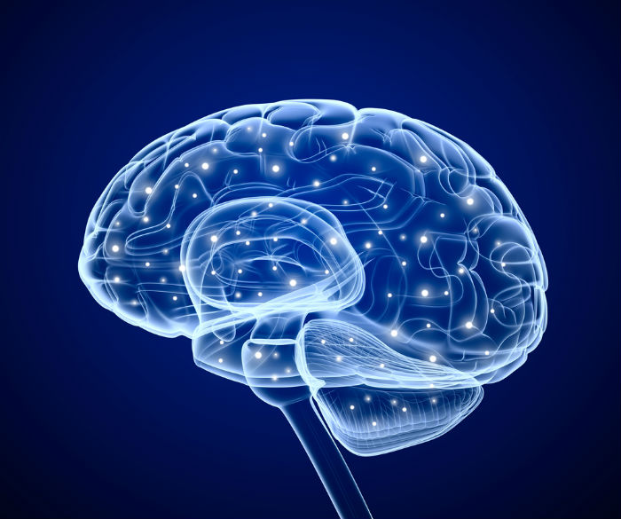 Leer, socializae y beber agua son algunos de los trucos para hacer ejercicios cerebrales. Imagen: Shutterstock