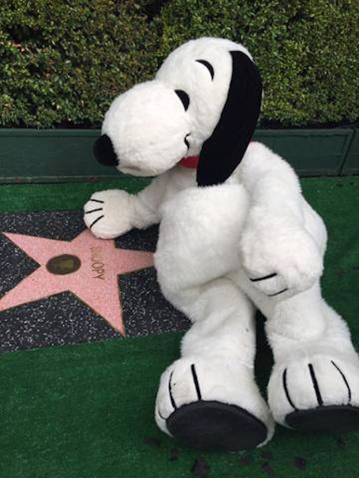 Snoopy inaugura su estrella en el Paseo de la Fama. Foto: Facebook, Hollywood Walk of Fame