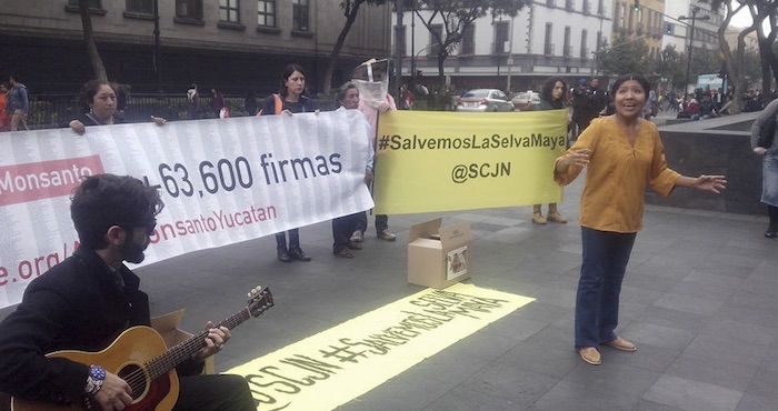 El director jurídico para Latinoamérica Norte de Monsanto consideró contradictorio que México niegue el permiso para cosecharla transgénicamente. Foto: Cuartoscuro