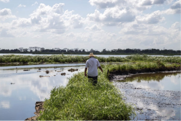 Un miembro de la comunidad Rubicel camina sobre un montículo de tierra elevada formada por la explosión del pozo de petróleo Oxiacaque, ocurrido en 2013. Foto del autor.