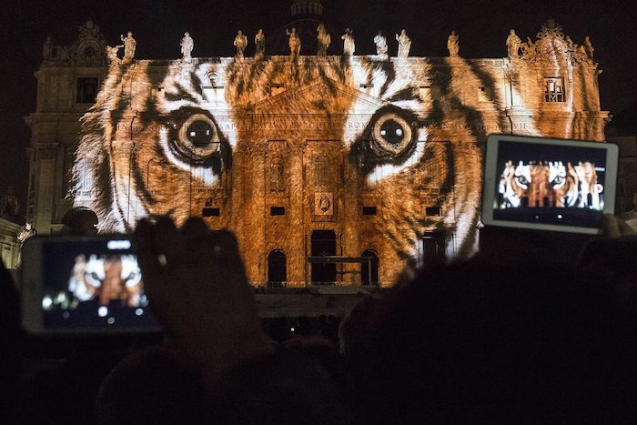 Vista de la Basílica de San Pedro iluminada hoy. Foto: EFE