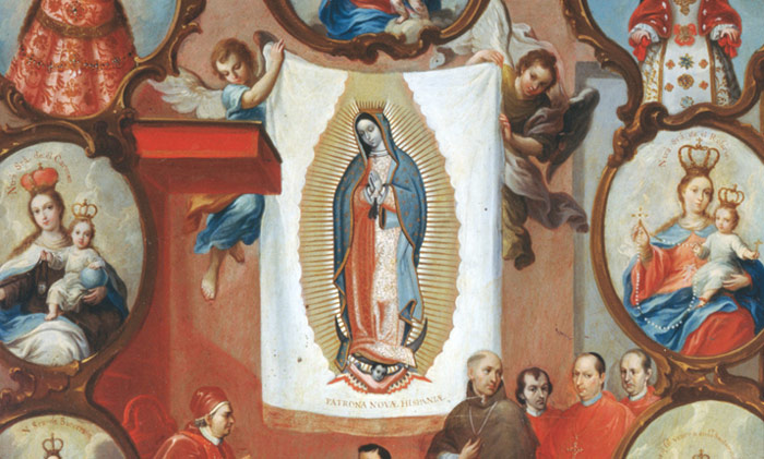 566532b35b67a418545565