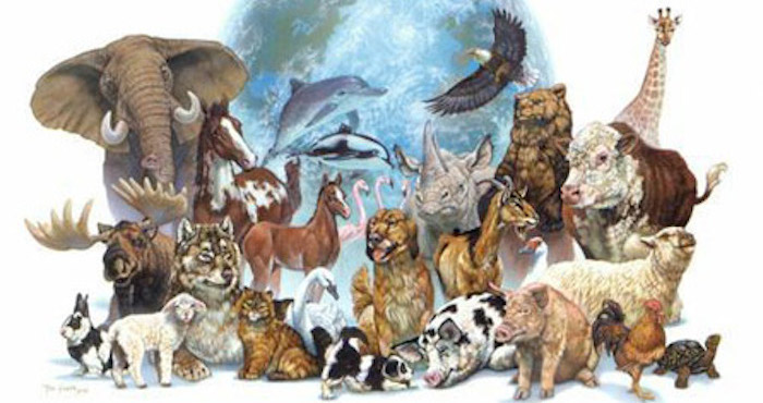Animales en peligro de extinción. Foto: WEB