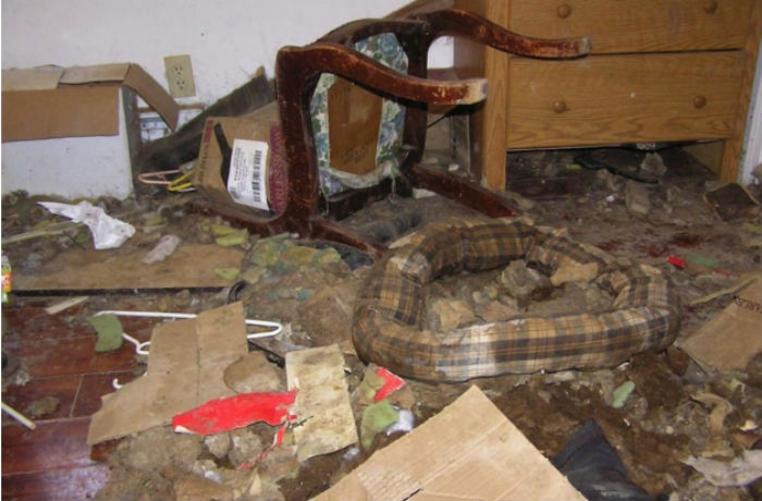 Foto tomada en casa de un acumulador de animales. Foto: Vice