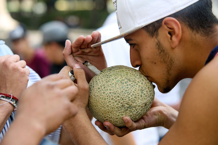 Mariguana Fest afuera del Senado. Foto: Francisco Cañedo, SinEmbargo