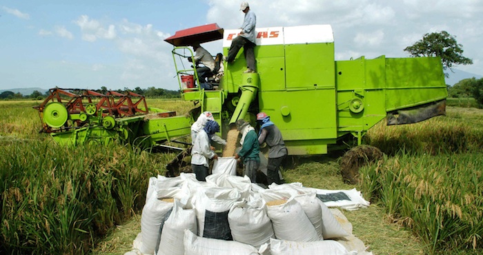 México exportará carne de caballo a China. Foto: EFE.