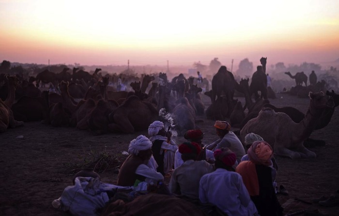 Los criadores de camellos viajan a pie con sus camellos por un período de hasta dos semanas por el desierto de Thar para llegar a la feria. Foto: Ahmer Khan, especial, Vice.