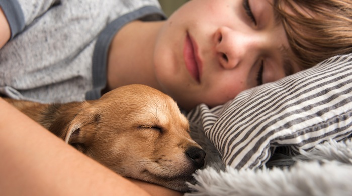 Dormir con nuestras mascotas puede ayudarnos a descansar mejor porque su compañía brinda una sensación de seguridad y relajación. Foto: Shutterstock.
