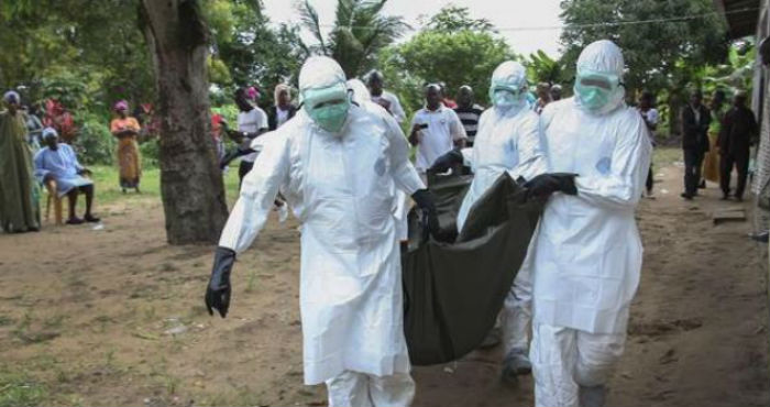 La OMS ve de frente un panorama optimista. Foto: EFE