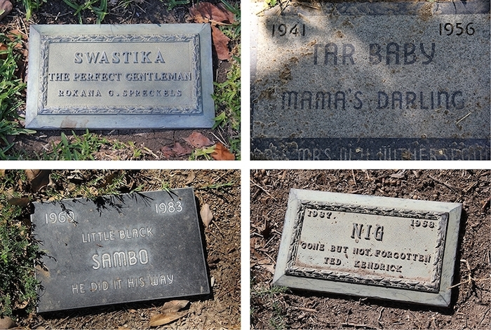 Las fotos pertenecen al cementerio ubicado en Los Ángeles, California. Foto: Vice