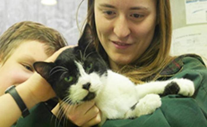 Un gato vuelve a su hogar después de 7 años desaparecido. Foto: Especial