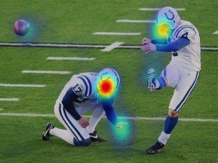 Foto: Qi Zhao, Universidad Nacional de Singapur