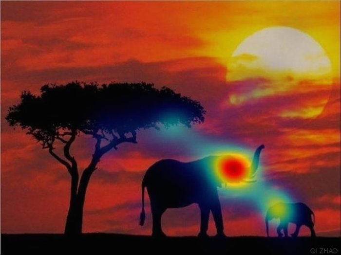 Foto: Qi Zhao, Universidad Nacional de Singapur