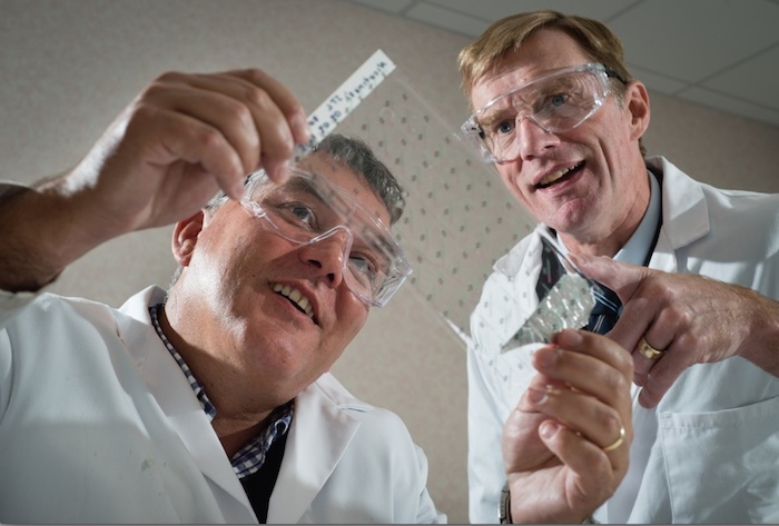 El parche eliminará el dolor crónico que desatan algunas enfermedades. Foto: Universidad de Warwick