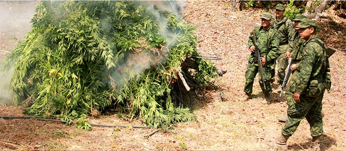 Soldados con el rifle G-3 queman marihuana en la Sierra Mdre Occidental. Imagen tomada de la revista electrónica La Gran Fuerza de México, editada por la Secretaría de la Defensa Nacional
