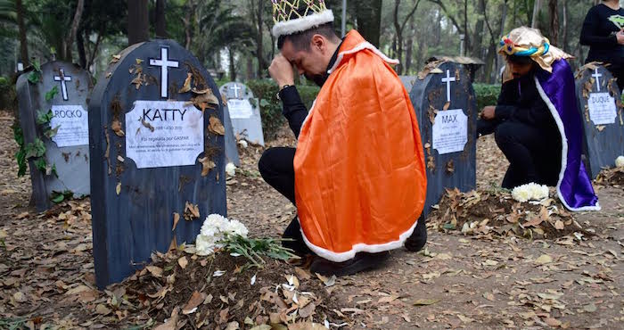 Performance en el Parque México hace un llamado a no contribuir a la compra-venta de animales este 5 de enero. Foto: Valentina López, SinEmbargo