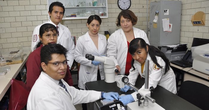 Científicos del politécnico descubren beneficios del ajo contra daño renal. Foto: @IPN_MX