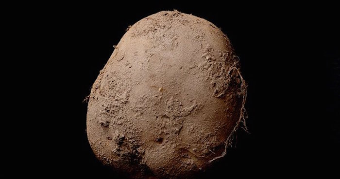 Fotografía de patata en un millón de euros. Foto: Twitter @MattRosoff