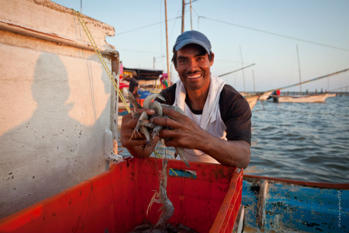 De esta actividad dependen más de 2 millones de mexicanos. Foto: Carlos Aguilera