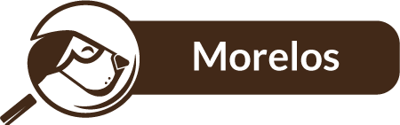 Morelos