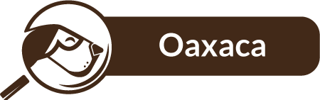 Oaxaca
