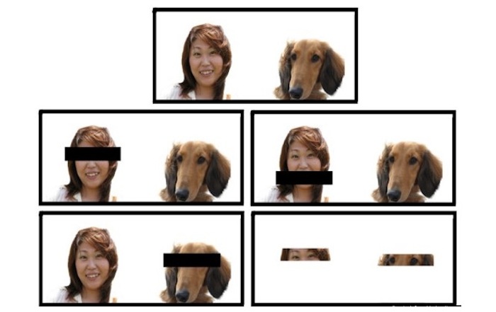 Tendemos a elegir inconscientemente al can que presenta el mayor rango de similitud con nuestros rasgos faciales. Foto: Sadahiko Nakajima/ElDiario.es