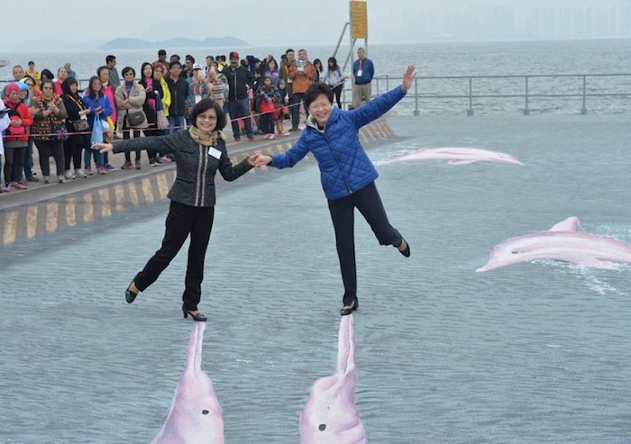 La foto en la que se ve a la Secretaria Jefe del Gobierno de Hong Kong de pie sobre la nariz del delfín dibujado, se interpreta como un “paso” para “matar” a la especie. Foto: especial
