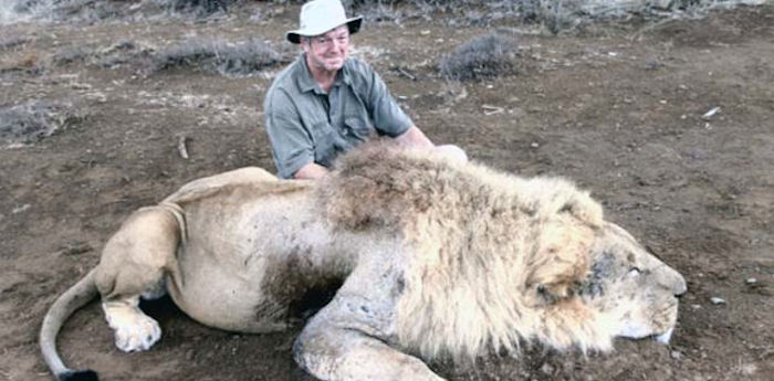 ONGs aseguran que las nuevas medidas disminuirán la caza de esta especia Foto: Archivo/SCI Online Record Book