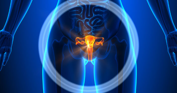 Imagen: Shutterstock