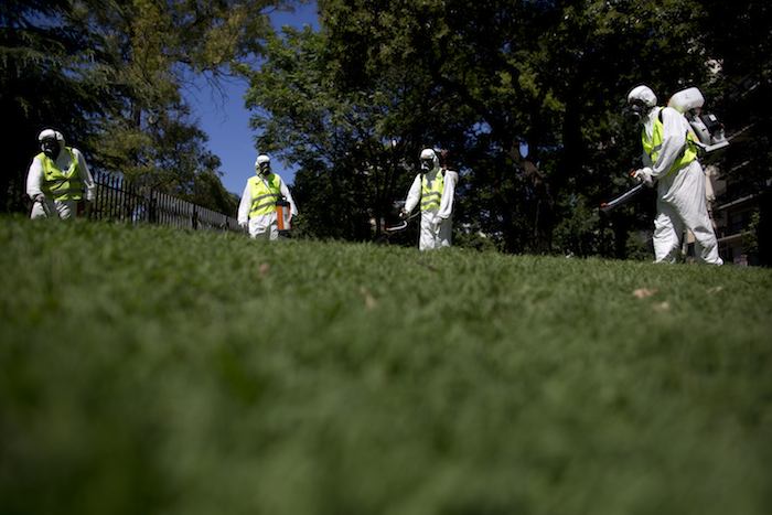 Trabajadores sanitarios rocían insecticida para atacar el virus. Foto: AP