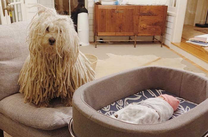 Foto: Facebook Mark Zuckerberg