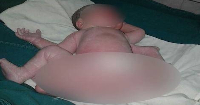 Foto: vía Diario Hoy