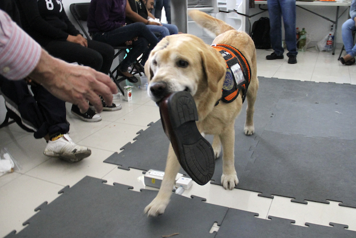 Booster, en su última visita a nuestro país en mayo pasado, participó en una clínica para niños de casa hogar en la Ciudad de Mexico. Foto: Luis Barrón/ SinEmbargo.