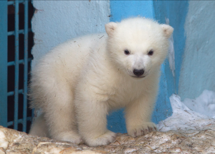 Foto: Xinhua/Kukhmar Kirill/TASS/ZUMAPRESS