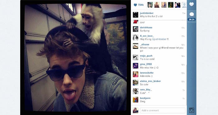 La asociación recordó que el incidente protagonizado por al cantante en Alemania cuando lo detuvieron con su pequeño mono, que fue un regalo de cumpleaños, por no cumplir con los papeles en regla. Foto: Instagram Justin Bieber