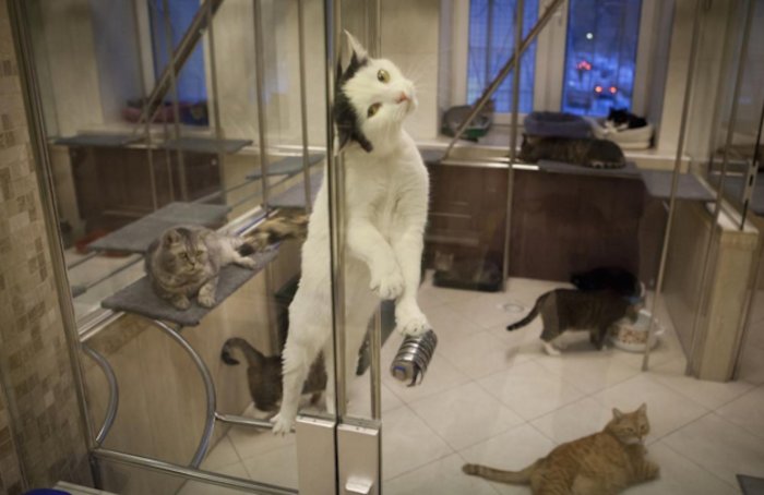 Foto: Julie Hrudová.