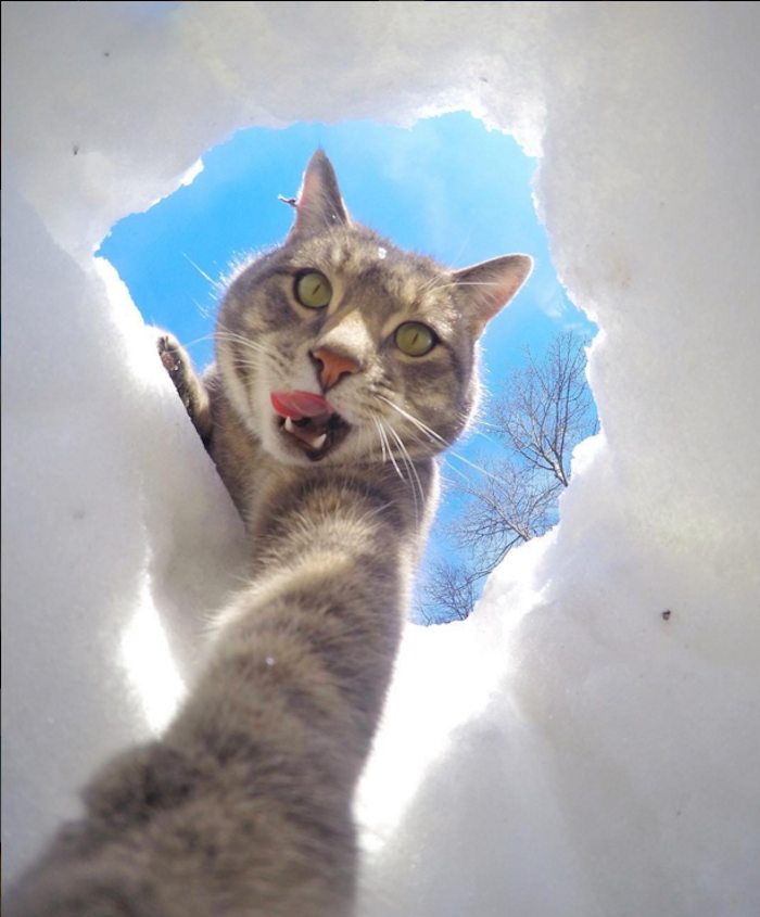 Foto: Instagram @yoremahm