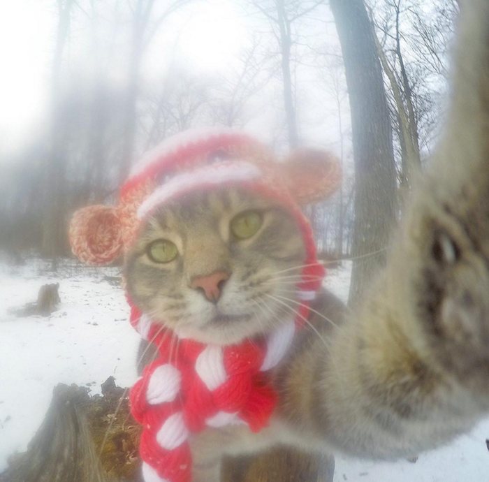 Manny tiene más de 191 mil seguidores en Instagram Foto: @yoremahm