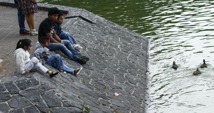 Los peces se encontraron en el lago de la segunda sección de Chapultepec. Foto: Cuartoscuro