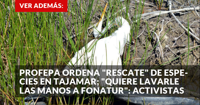 Profepa ordena a Fonatur