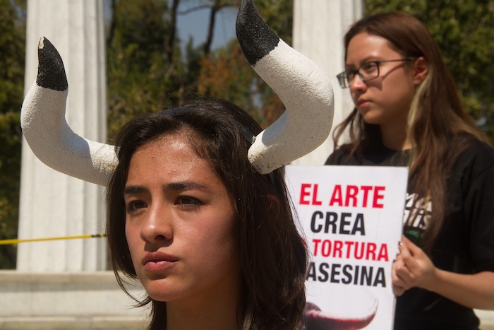 Protesta en México contra la tauromaquia. Foto: Cuartoscuro.
