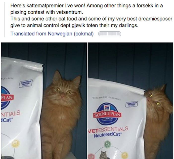 (Este no lo traducimos, que es publicidad mayormente. Es lo que tiene ser un 'influencer' como Jesper). Foto: VICE