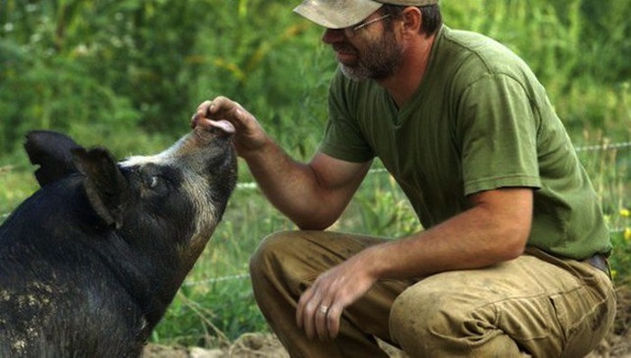 Bob, convencido de que la ganadería industrial es un verdadero desastre para todos, decidió invertir todo lo que tenía en montar una granja ecológica. Foto: Especial/ The Last Pig.