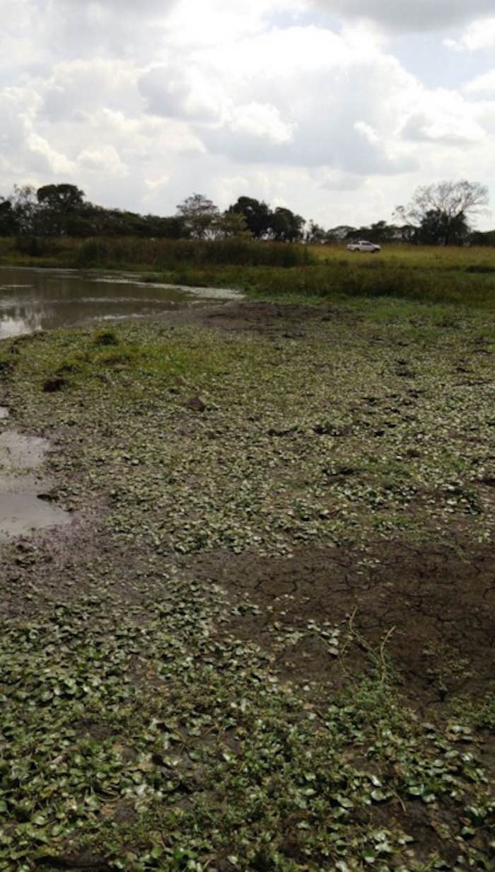 El colectivo Solecito Veracruzano está formado por madres con hijos desaparecidos en el estado de Veracruz. Foto: Blog Espediente