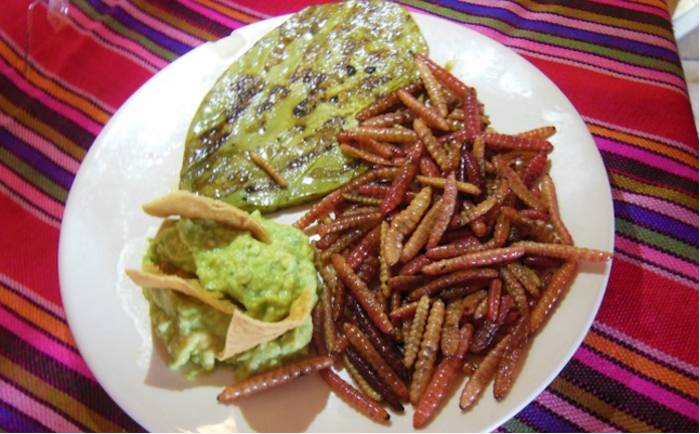 Gusanos de maguey en guacamole, otro plato tradicional mexicano. Foto: Marcelino Martínez Aguirre