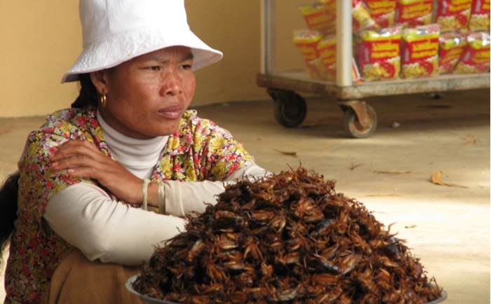 Una mujer vende cucarachas fritas en Camboya. Foto: Mckay Savage